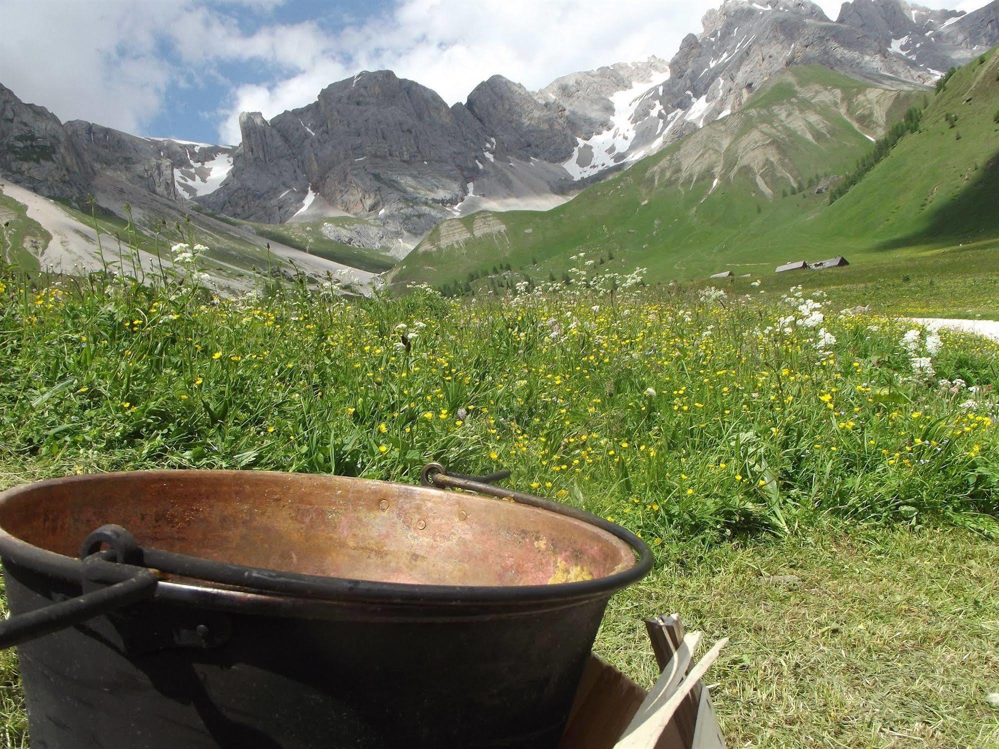 Wellness Hotel Dolomia Soraga Exterior foto